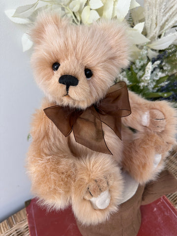 Dewey Charlie Bears Secrets Collection Plush Teddy Bear