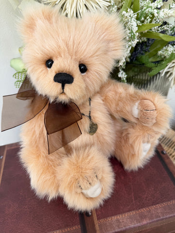 Dewey Charlie Bears Secrets Collection Plush Teddy Bear