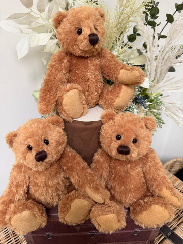 Huggable Harry Charlie Bears 2026 Plush Collection Teddy Bear