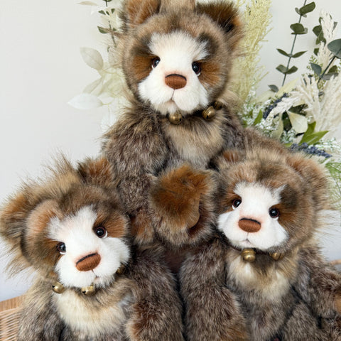 Anniversary Graeme Charlie Bears Collectable Plush Teddy Bear