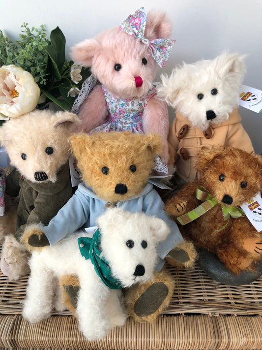 Canterbury Bears