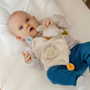FehnNature Fairy Baby Sheep Comforter Soother Toy Dream Big