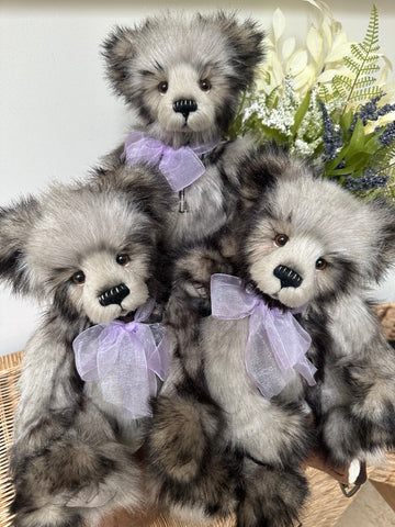 Kate Charlie Bears Secrets Collection Plush Collectable Teddy Bear