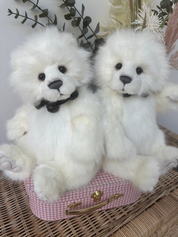 Daria Charlie Bears Plush Collection Polar Bear Teddy Bear