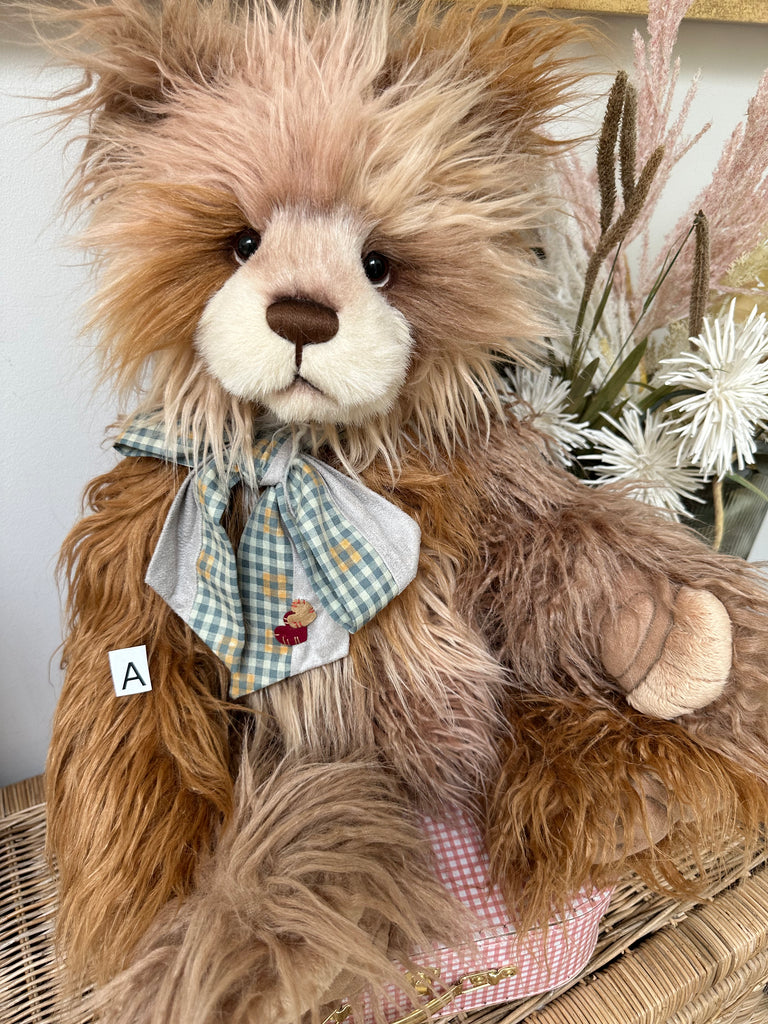 Teddy and friends stockists sales