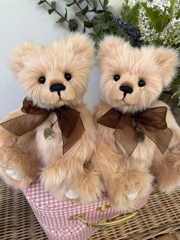 Dewey Charlie Bears Secrets Collection Plush Teddy Bear