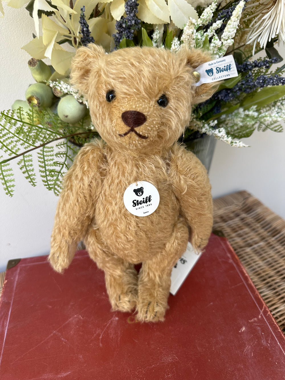 James Traditional Teddy Bear Steiff Classic Collectors 26cm Mohair Teddy Bear