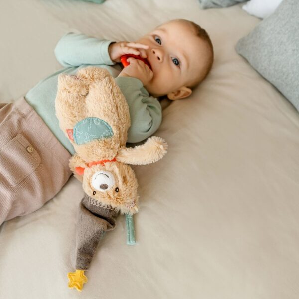 Bruno Musical Children's Teddy Bear