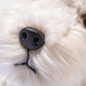 Foxy Foxterier 32cm Plush Steiff 2025 New Release Puppy Dog