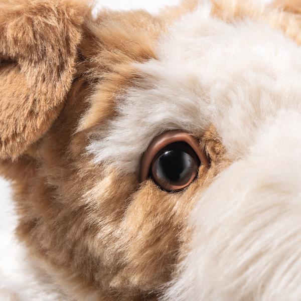 Foxy Foxterier 32cm Plush Steiff 2025 New Release Puppy Dog