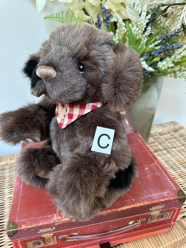 Boomerang Charlie Bears Collectable Plush Puppy Dog