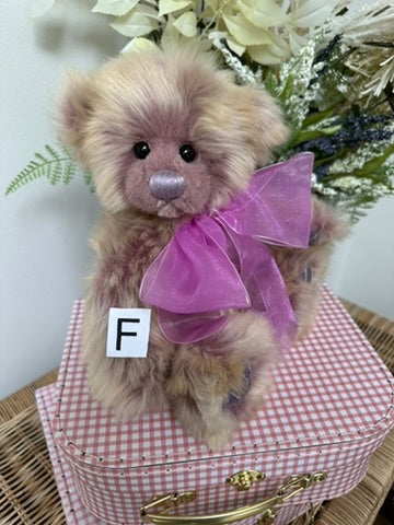 Thursday Bears Of The Week Mini Series 2025 Plush Collection Teddy Bear