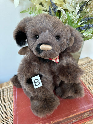 Boomerang Charlie Bears Collectable Plush Puppy Dog