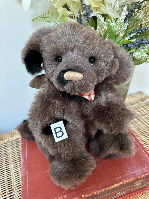 Boomerang Charlie Bears Collectable Plush Puppy Dog