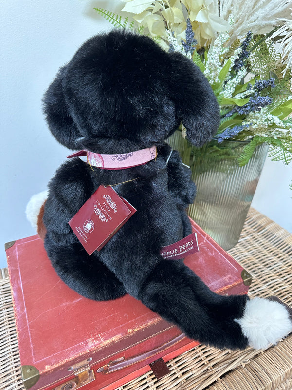 Didling Charlie Bears Plush Collection Collectable Puppy Dog