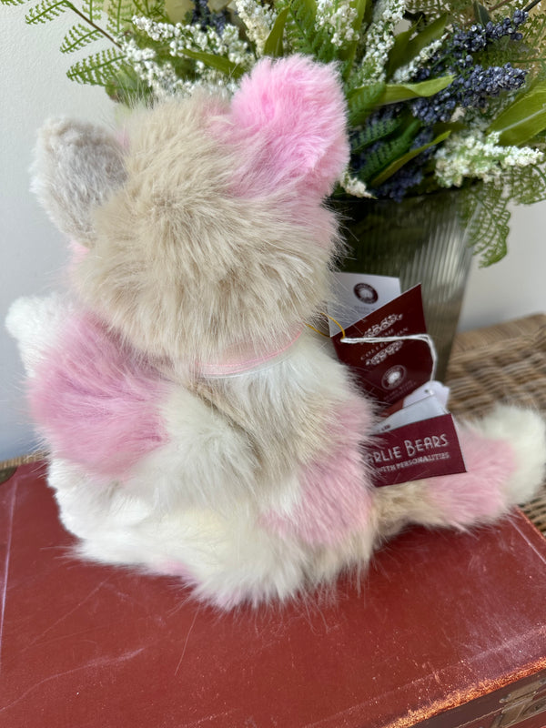 Kitty Kat Charlie Bears Secrets Collection Plush Kitten Cat