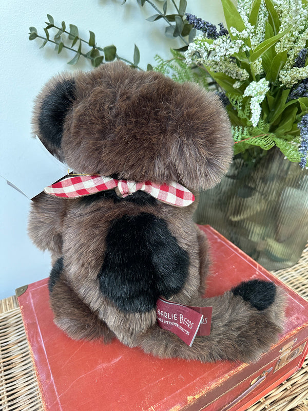 Boomerang Charlie Bears Collectable Plush Puppy Dog