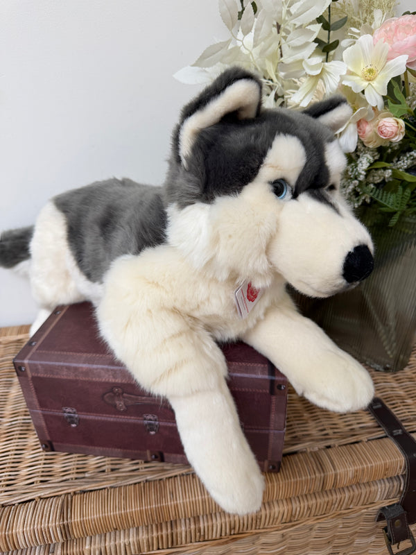 Husky Large 60cm Plush Lying Hermann Teddy Puppy Dog
