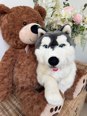 Husky Large 60cm Plush Lying Hermann Teddy Puppy Dog