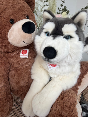 Husky Large 60cm Plush Lying Hermann Teddy Puppy Dog