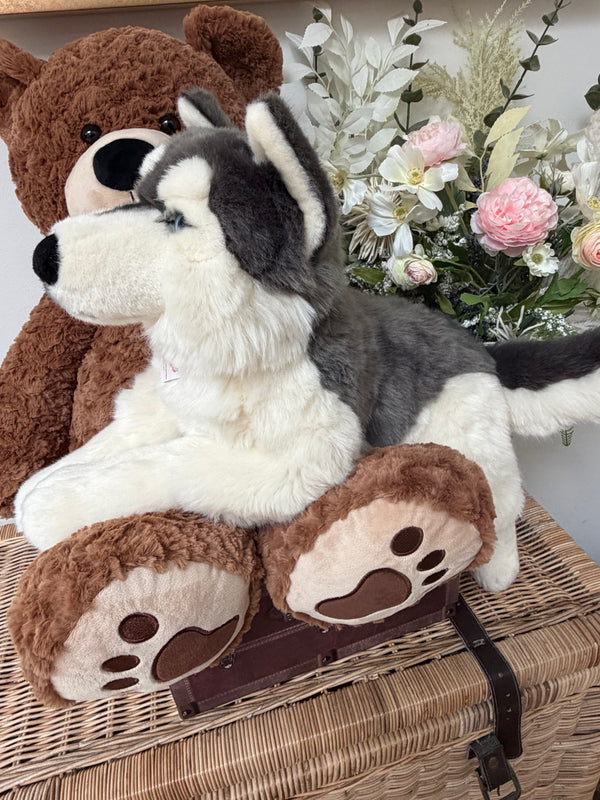 Husky Large 60cm Plush Lying Hermann Teddy Puppy Dog