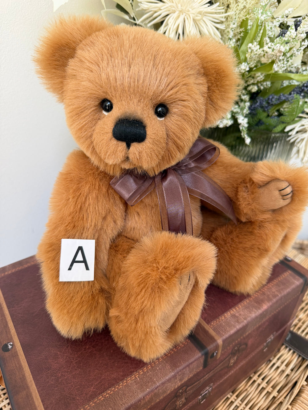 Robinson Paw Store Exclusive 2025 Plush Collectable Teddy Bear