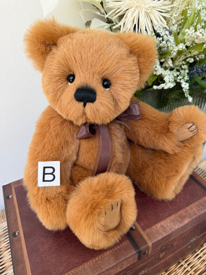 Robinson Paw Store Exclusive 2025 Plush Collectable Teddy Bear