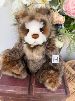 Anniversary Graeme Charlie Bears Collectable Plush Teddy Bear