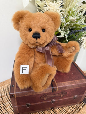 Robinson Paw Store Exclusive 2025 Plush Collectable Teddy Bear