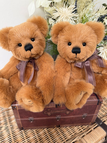 Robinson Paw Store Exclusive 2025 Plush Collectable Teddy Bear