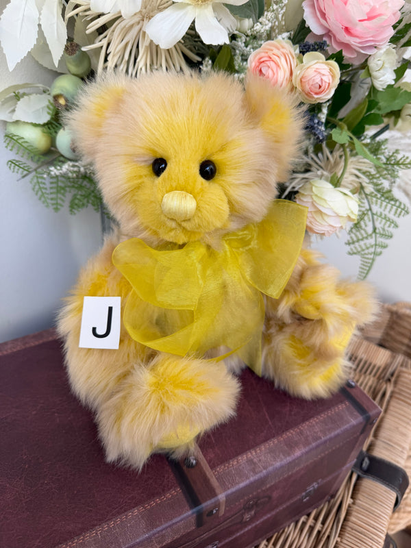 Friday Bears Of The Week Mini Series 2025 Plush Collection Teddy Bear