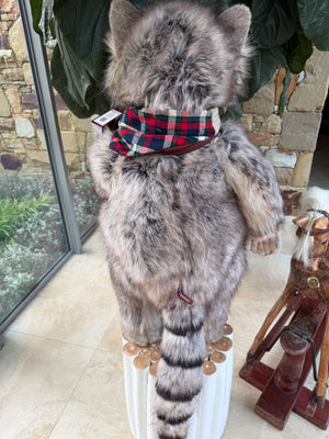 Inspector Rummage Large Charlie Bears Standing Plush Limited Edition Racoon No 465