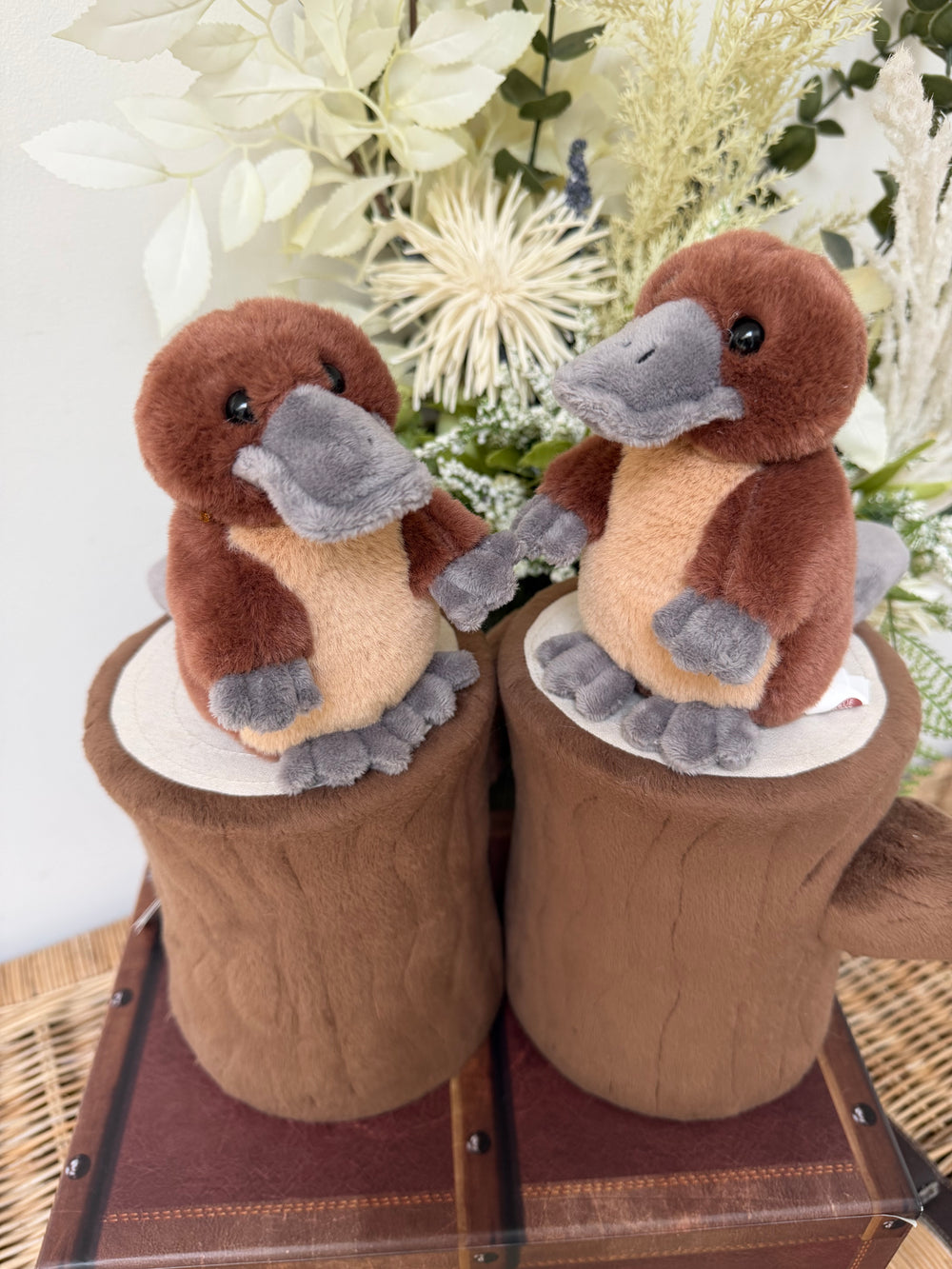 Duck Billed Platypus Cuddle Cub by Charlie Bears Plush Soft Toy