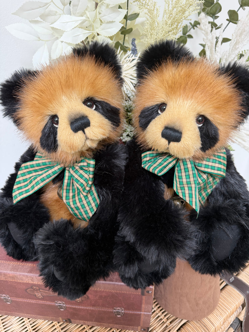 Collins Charlie Bears 2026 Plush Collection Teddy Bear