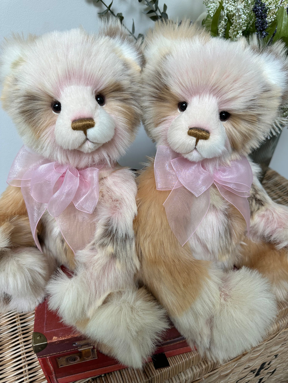 Davina Charlie Bears Plush Collection New Release Teddy Bear