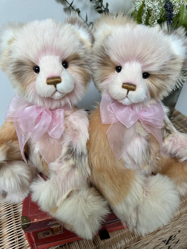 Davina Charlie Bears Plush Collection New Release Teddy Bear