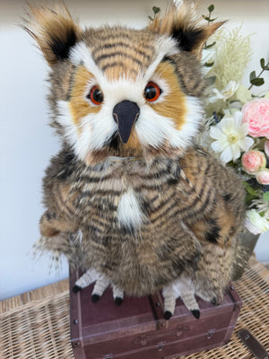Group Captain Morris Charlie Bears Plush Collection Owl Option A