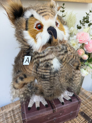 Group Captain Morris Charlie Bears Plush Collection Owl Option A