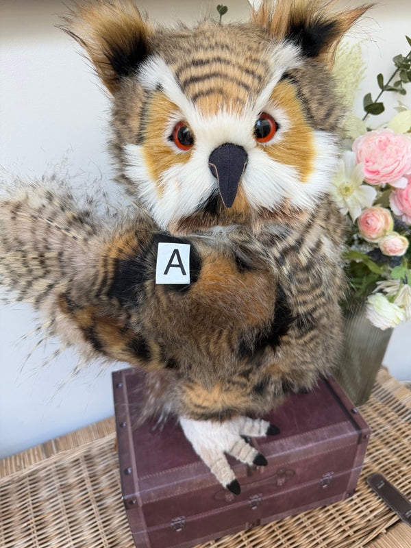 Group Captain Morris Charlie Bears Plush Collection Owl Option A