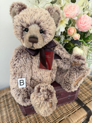 Davey Charlie Bears 2026 Plush Collection Teddy Bear