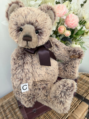 Davey Charlie Bears 2026 Plush Collection Teddy Bear