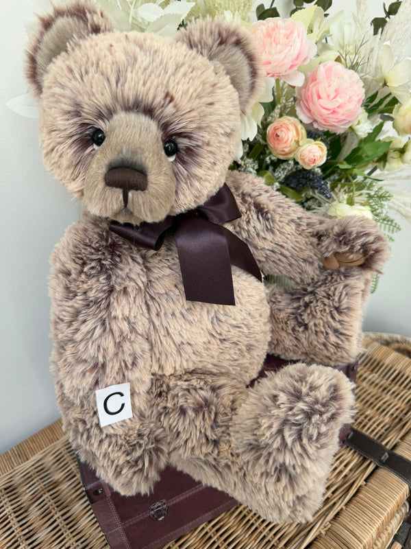 Davey Charlie Bears 2026 Plush Collection Teddy Bear