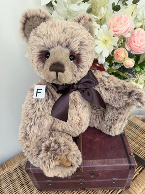 Davey Charlie Bears 2026 Plush Collection Teddy Bear