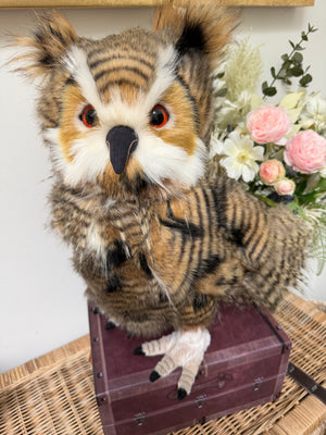 Group Captain Morris Charlie Bears Plush Collection Owl Option C