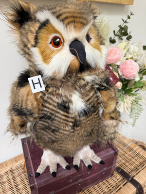 Group Captain Morris Charlie Bears Plush Collection Owl Option H
