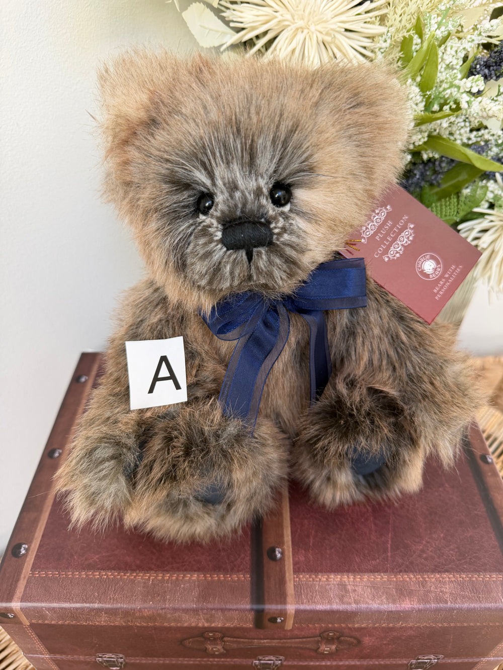 Happy Charlie Bears 2026 Plush Collection Teddy Bear