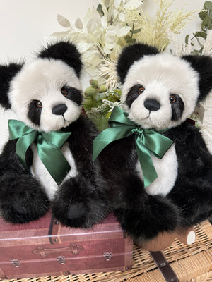 Davidson Charlie Bears 2026 Plush Collection Teddy Bear