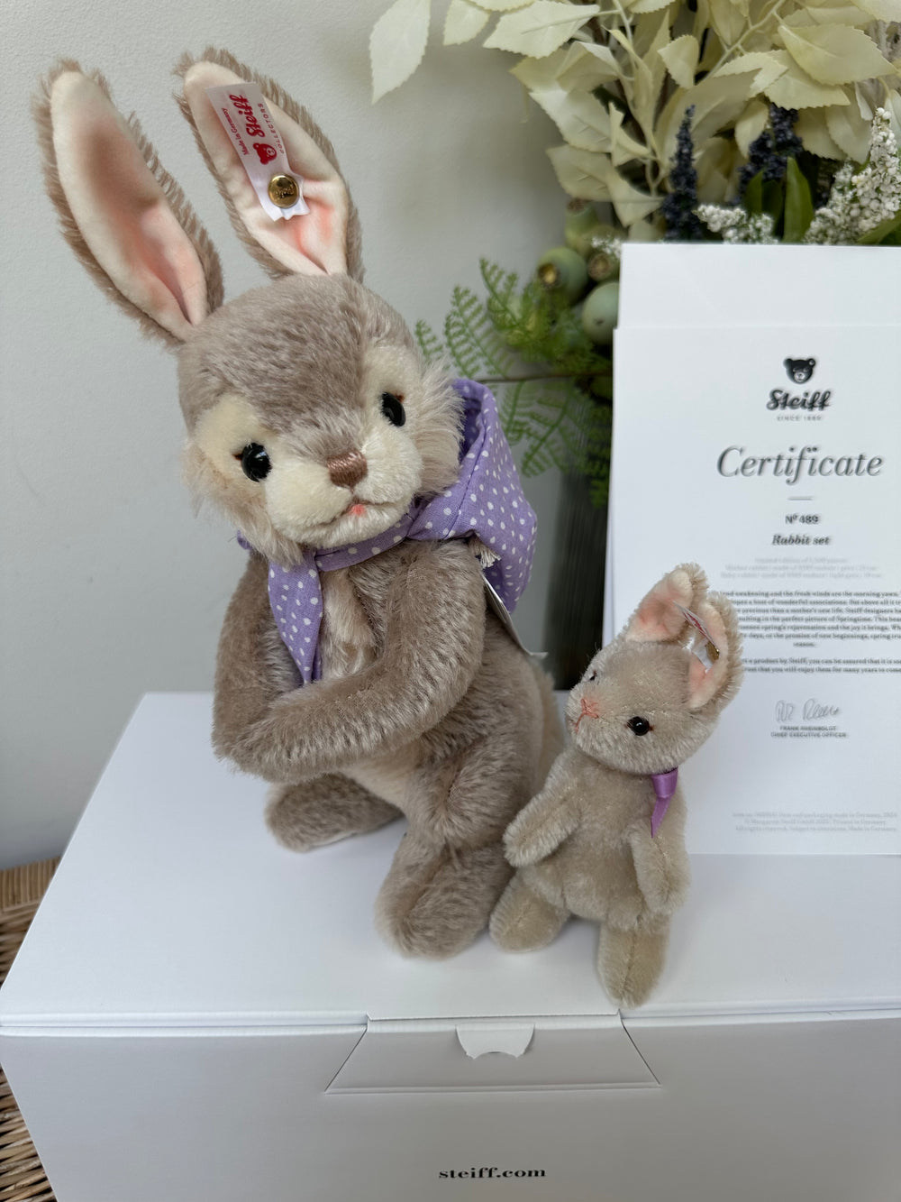 Rabbit Limited Edition 2 pce Collectable Mohair Bunny Rabbit Set No 489
