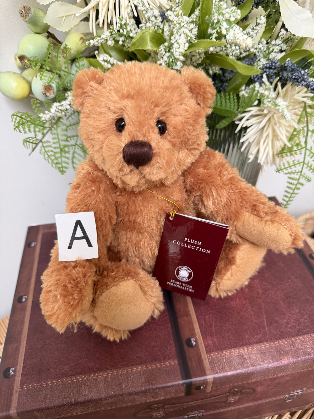 Huggable Harry Charlie Bears 2026 Plush Collection Teddy Bear