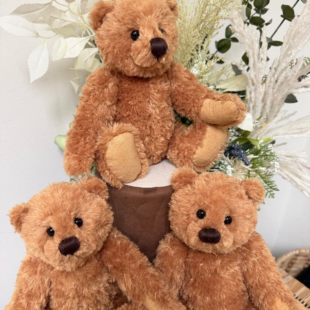 Huggable Harry Charlie Bears 2026 Plush Collection Teddy Bear